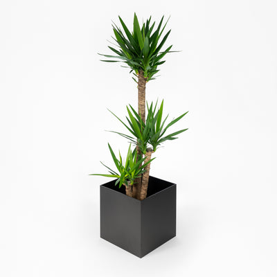 Steelish planter | Square Planter Anthracite